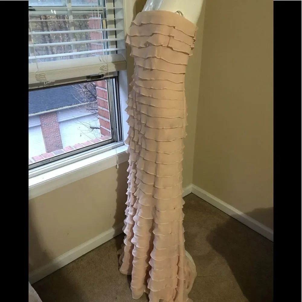 TASHIDA Collection pink ruffle gown